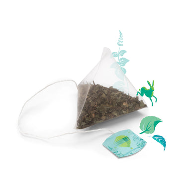 Discovery Collection Medley of Mint - 15 Pyramid Tea Bags
